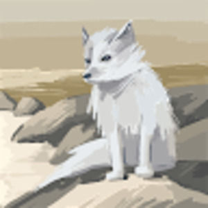 Meet your Posher, Doris